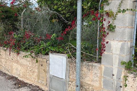 Tomt i Selva, Mallorca, Selva - € 479 000 | Ref: 33130001_GC/11003 - foto 19