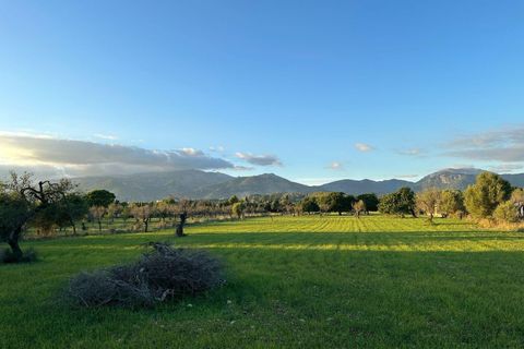 Tomt i Selva, Mallorca, Selva - € 479 000 | Ref: 33130001_GC/11003 - foto 22