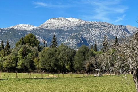 Tomt i Selva, Mallorca, Selva - € 479 000 | Ref: 33130001_GC/11003 - foto 23