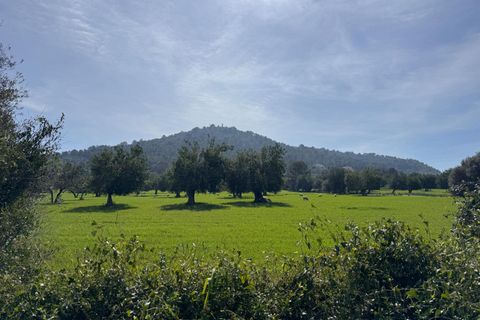 Tomt i Selva, Mallorca, Selva - € 479 000 | Ref: 33130001_GC/11003 - foto 30