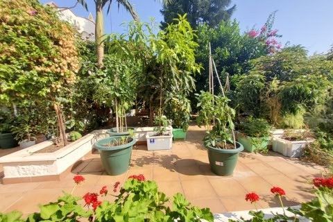 Villa i Almunecar, Granada, Almunecar - € 625.000 | Ref: PRSE-V1202 - foto 35