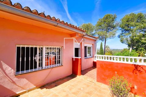 Villa a Turis, Valencia, Turis - € 460.000 | Ref: MP111L - foto 35