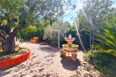 Villa i Turis, Valencia - foto 4