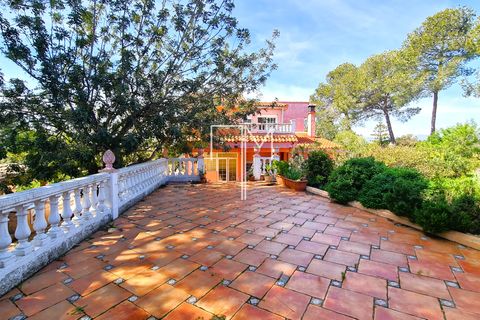 Villa a Turis, Valencia, Turis - € 460.000 | Ref: MP111L - foto 43