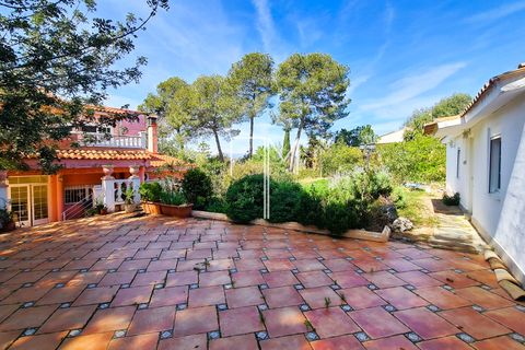 Villa i Turis, Valencia - foto 5