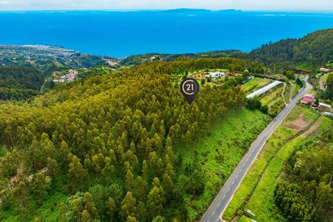 Terra a Gaula, Madeira, Gaula - € 550.000 | Ref: C0216-03219 - foto 2