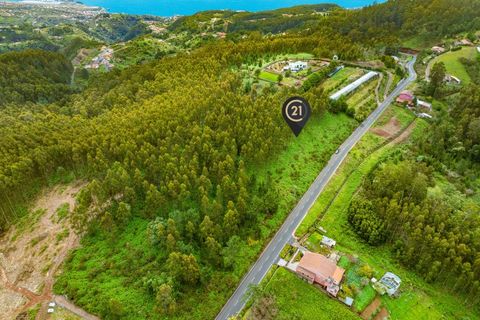 Terra a Gaula, Madeira, Gaula - € 550.000 | Ref: C0216-03219 - foto 3