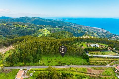 Terra a Gaula, Madeira, Gaula - € 550.000 | Ref: C0216-03219 - foto 7