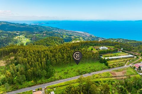 Terra a Gaula, Madeira, Gaula - € 550.000 | Ref: C0216-03219 - foto 8