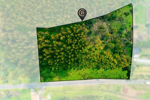 Terra a Gaula, Madeira, Gaula - € 550.000 | Ref: C0216-03219 - foto 9