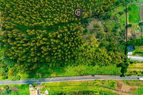 Terra a Gaula, Madeira, Gaula - € 550.000 | Ref: C0216-03219 - foto 11