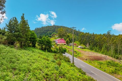 Terra a Gaula, Madeira, Gaula - € 550.000 | Ref: C0216-03219 - foto 12