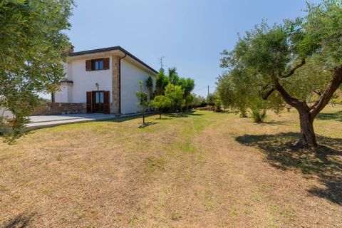 Villa a Vasto, Chieti, Vasto - € 449.000 | Ref: 331 - foto 49