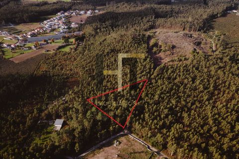 Helårsgrund i Maia, Porto, Maia - € 150.000 | Ref: SR0003 - foto 9