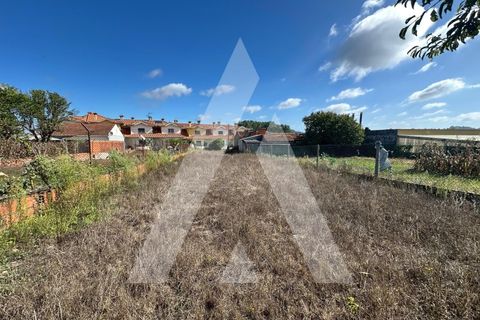 Terra a Oia, Aveiro, Oia - € 25.000 | Ref: 1051346/25 OB - foto 2