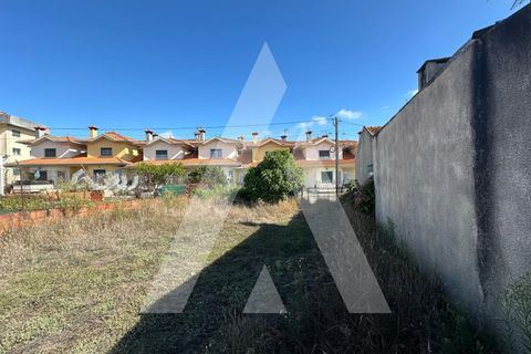 Terra a Oia, Aveiro, Oia - € 25.000 | Ref: 1051346/25 OB - foto 3