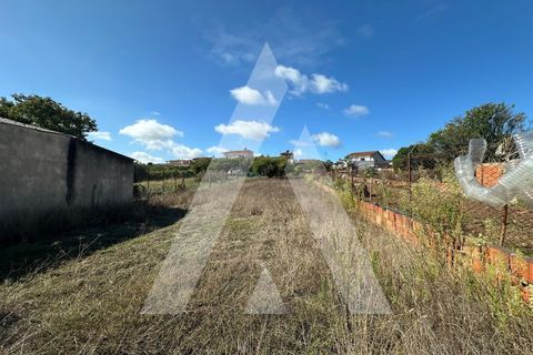 Terra a Oia, Aveiro, Oia - € 25.000 | Ref: 1051346/25 OB - foto 4