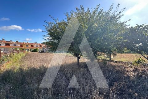 Terra a Oia, Aveiro, Oia - € 25.000 | Ref: 1051346/25 OB - foto 5