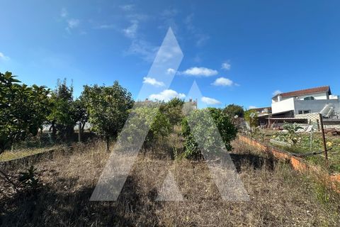 Terra a Oia, Aveiro, Oia - € 25.000 | Ref: 1051346/25 OB - foto 6