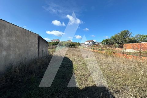 Terra a Oia, Aveiro, Oia - € 25.000 | Ref: 1051346/25 OB - foto 7