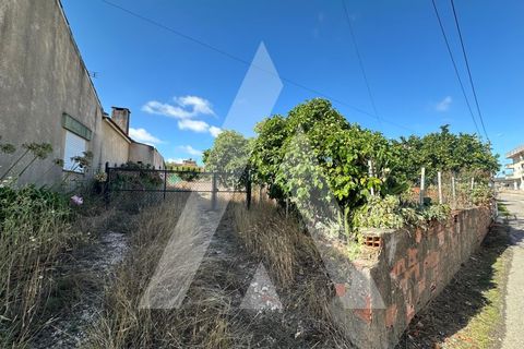 Terra a Oia, Aveiro, Oia - € 25.000 | Ref: 1051346/25 OB - foto 8