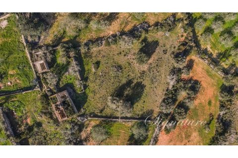 Helårsgrund i Boliqueime, Faro, Boliqueime - € 359.000 | Ref: SO-2023 - foto 8
