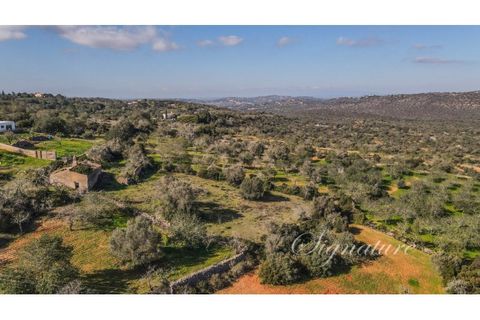 Helårsgrund i Boliqueime, Faro, Boliqueime - € 359.000 | Ref: SO-2023 - foto 15