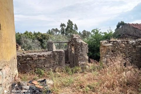 Villa i Macao, Santarem, Macao - € 60.000 | Ref: CAS_191 - foto 18