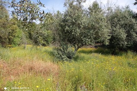 Villa i Macao, Santarem, Macao - € 60.000 | Ref: CAS_191 - foto 22