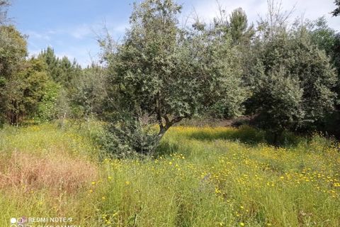 Villa i Macao, Santarem, Macao - € 60.000 | Ref: CAS_191 - foto 23