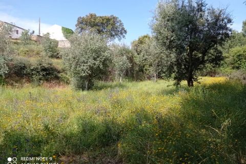 Villa i Macao, Santarem, Macao - € 60.000 | Ref: CAS_191 - foto 24