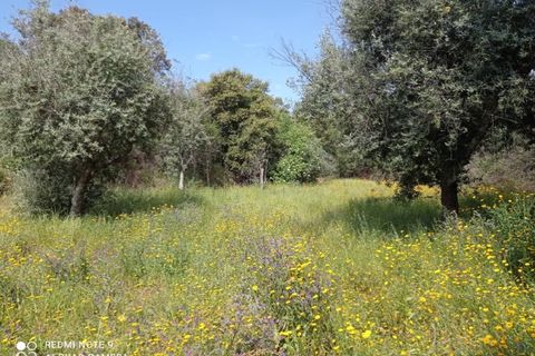 Villa i Macao, Santarem, Macao - € 60.000 | Ref: CAS_191 - foto 25