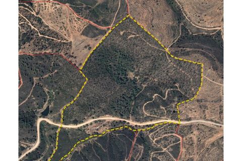 Terra a Marmelete, Faro, Marmelete - € 395.000 | Ref: HMSTRR150 - foto 2