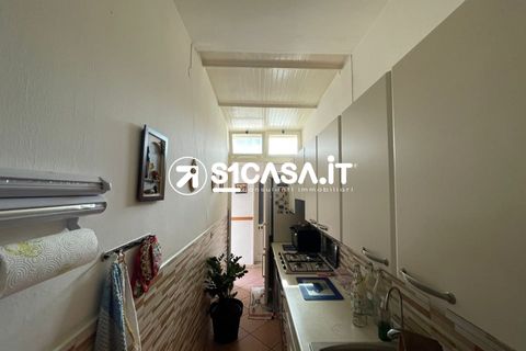 Villa a Nardo, Lecce, Nardo - € 145.000 | Ref: EAL-1355 - foto 12