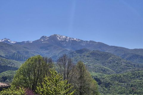 Villa a Roquefixade, Ariege, Roquefixade - € 172.000 | Ref: 4A15B7FC226C483C - foto 4