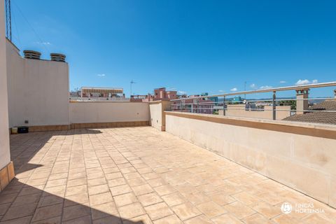 Villa i Palma De Mallorca, Mallorca, Palma De Mallorca - € 2.980.000 | Ref: VCP24625/13188 - foto 50