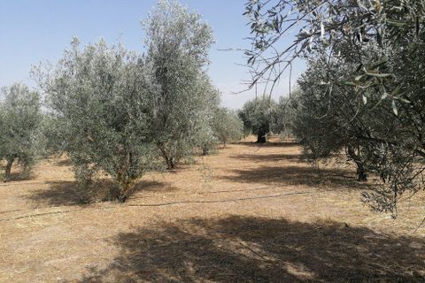 Landejendom i Baza, Granada, Baza - € 144.000 | Ref: v3091 - foto 24