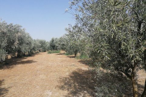 Landejendom i Baza, Granada, Baza - € 144.000 | Ref: v3091 - foto 25
