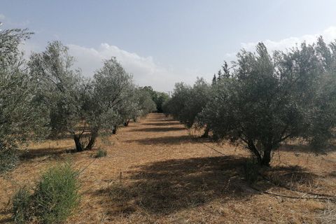 Landejendom i Baza, Granada, Baza - € 144.000 | Ref: v3091 - foto 26
