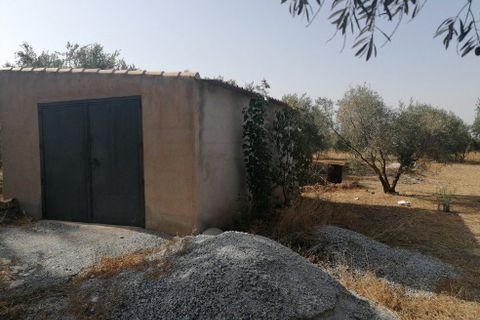 Landejendom i Baza, Granada, Baza - € 144.000 | Ref: v3091 - foto 28