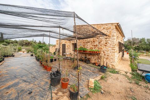 Landejendom i Sa Coma (Cala Millor), Mallorca, Sa Coma (Cala Millor) - € 745.000 | Ref: 15NGTM002/3010 - foto 28