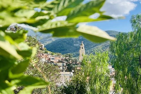 Villa a Vallebona, Imperia, Vallebona - € 425.000 | Ref: D441 - foto 29