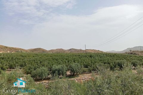 Rækkehus i Lubrin, Almeria, Lubrin - € 390.000 | Ref: LUPD43DL - foto 29