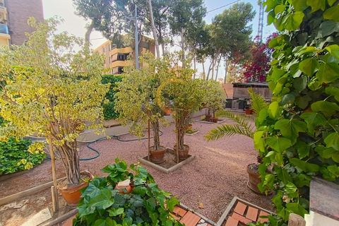 Villa a Novelda, Alicante, Novelda - € 666.000 | Ref: DNV0577 - foto 42