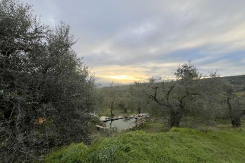 Farm hus i Panicale, Perugia, Panicale - € 335.000 | Ref: P042 - foto 19