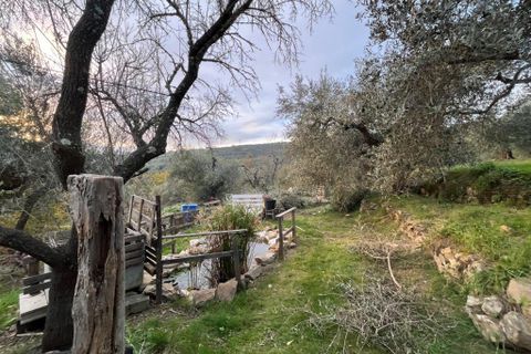Farm hus i Panicale, Perugia, Panicale - € 335.000 | Ref: P042 - foto 21