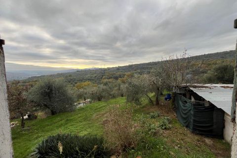 Farm hus i Panicale, Perugia, Panicale - € 335.000 | Ref: P042 - foto 22