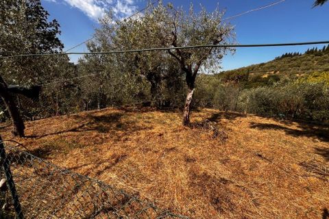Byhus i Perugia, Perugia, Perugia - € 70.000 | Ref: P050 - foto 25