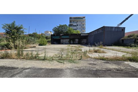 Terra a Spoltore, Pescara, Spoltore - € 420.000 | Ref: 1844391 - foto 5