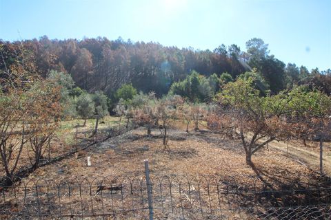 Landejendom i Covilha, Castelo Branco, Covilha - € 25.000 | Ref: 394250101 - foto 4